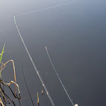 20140810_Fishing_Ostrivsk_146.jpg