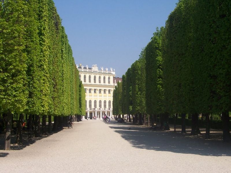 schönbrunn-palace-trimmed-trees-1