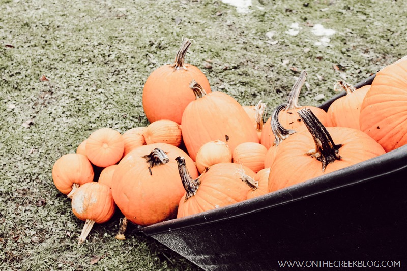 Pumpkins in the wagon!