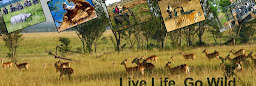 Profile cover photo