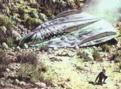 Glowing Alien Cactus That Eats Meat In Meteor Crater At Roswell New Mexico Ufo Sighting News