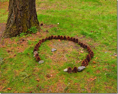 Squirrel Amphitheater