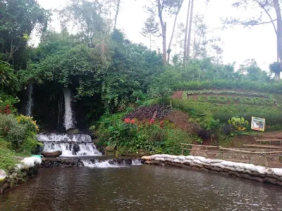 wisata air terjun banyuwangi