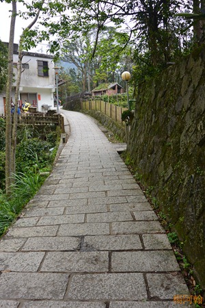 20160401 045 - 貓空樟樹步道