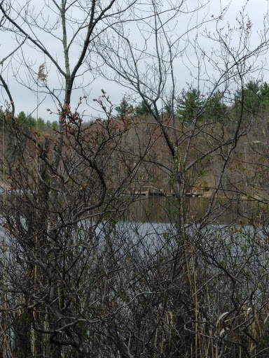 Hiking Area «Stony Brook Reservation», reviews and photos, Turtle Pond Pkwy, Hyde Park, MA 02136, USA