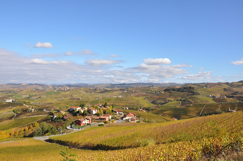 Main image of Tenuta Rocca Societa' Agricola Srl (Langhe)