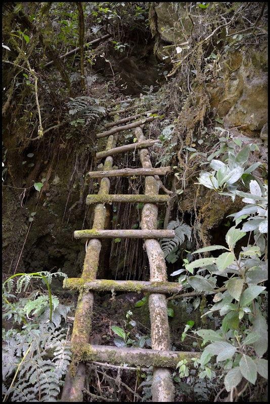 SARCÓFAGOS SAN JERÓNIMO - MÁGICO Y ENIGMÁTICO PERÚ/2016. (13)