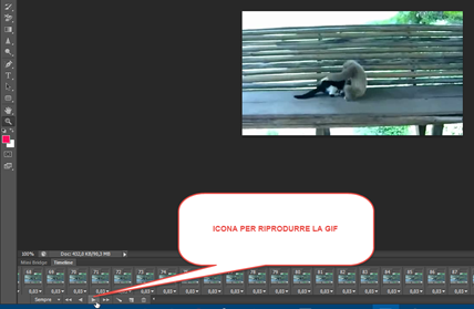 anteprima-gif-photoshop