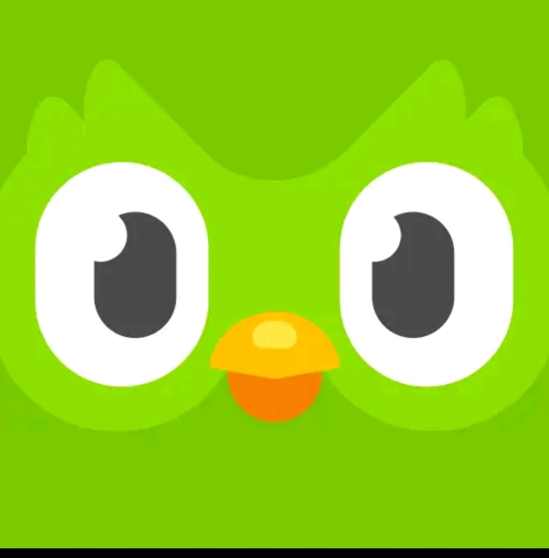 Download Duolingo Android App For For Learn Spoken English and 30 Languages