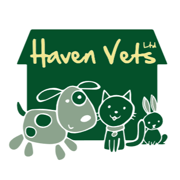 Haven Vets Ltd Morriston, Swansea logo