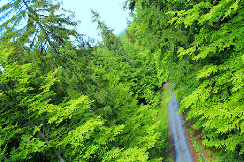 Настроенческое. Три дебила - это сила! Чески Крумлов: его близкие и не близкие окрестности