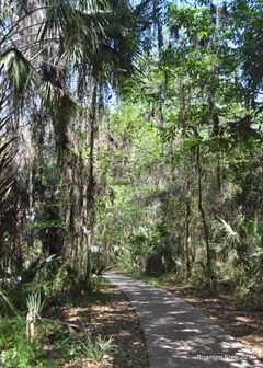 Walkway to the Visitor Center