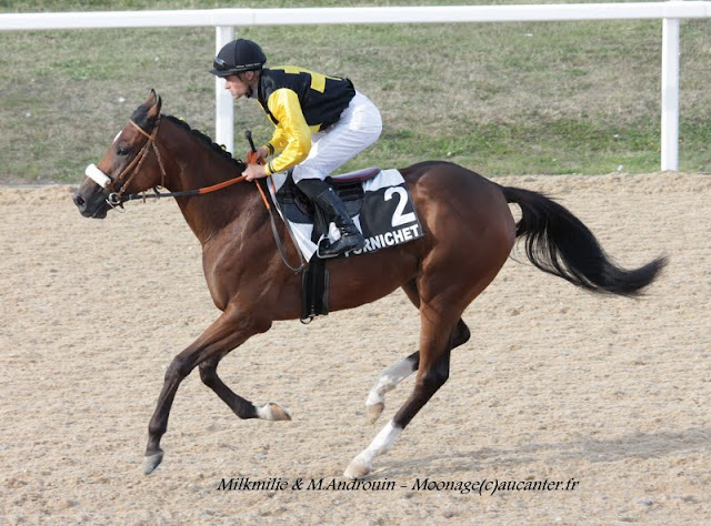 Photos Pornichet le 7-08-2015 IMG_3668