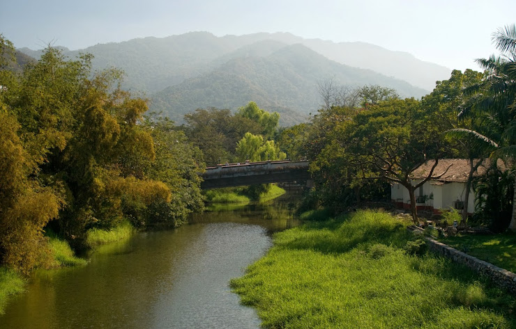 Enjoy the green vegetation of Puerto Vallarta