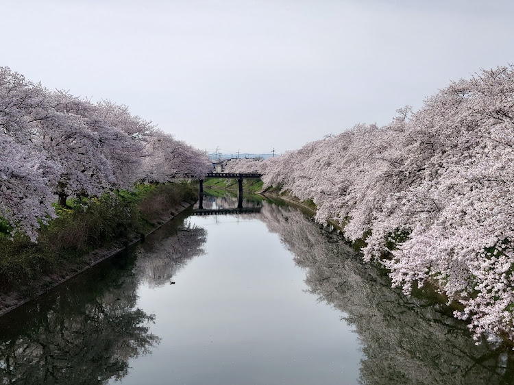 の投稿画像2枚目