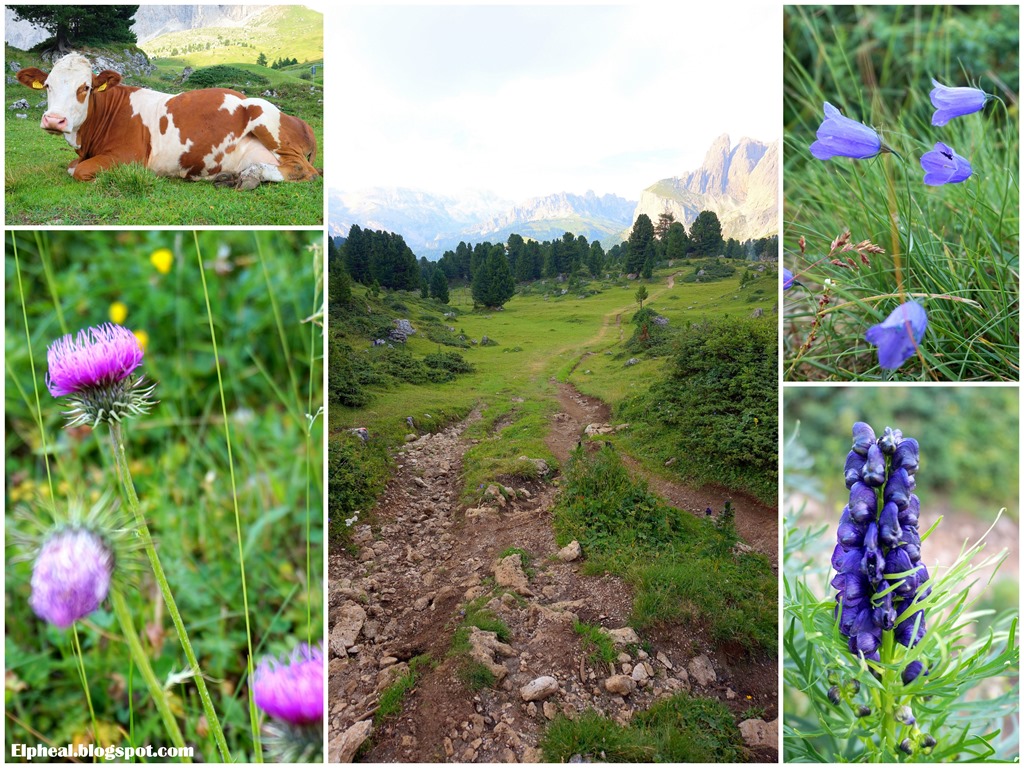 [05---Val-Gardena15.jpg]