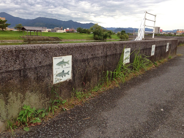 竹馬川の堤防の看板