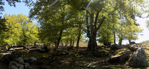 Le col près du point IGN 1252