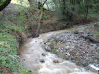 Creek next to Eagle Trail