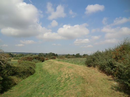 CIMG3732 Embankment, Holborough Marshes