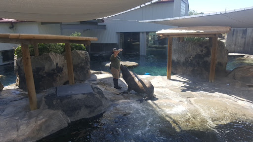 Zoo «Rocky Shores At Hogle Zoo», reviews and photos, 2478 E Ninth S Cir, Salt Lake City, UT 84108, USA