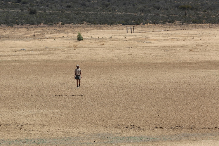 Farmers in the Karoo are facing the worst drought they have experienced in decades. Marx Strydom from the farm Erekroon in Jansenville walks through what used to be their dam