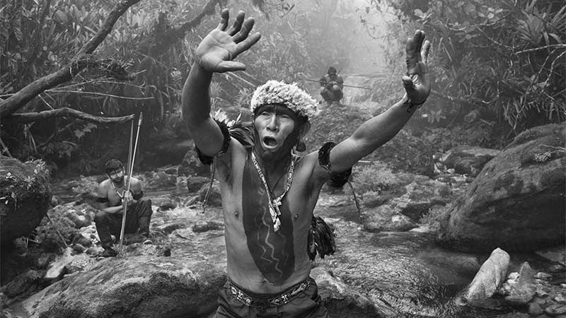 Fotógrafo Sebastião Salgado, la sal de la tierra