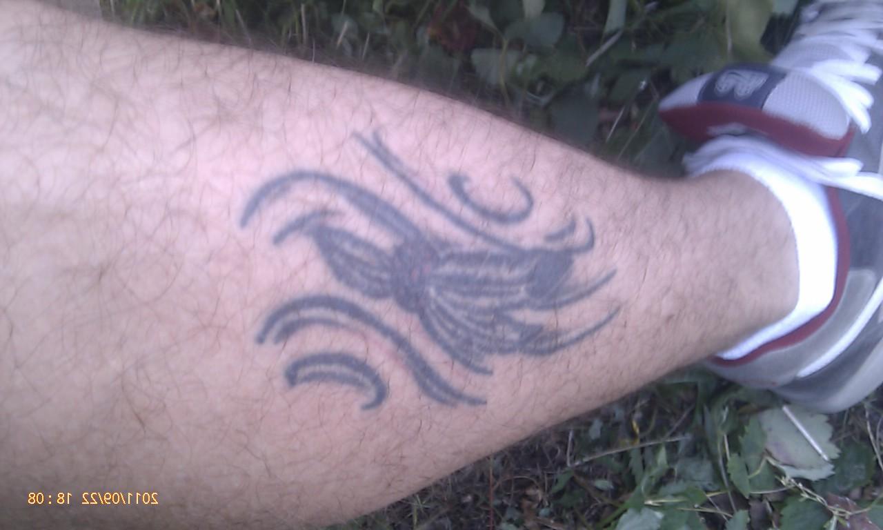 indian feather tattoo