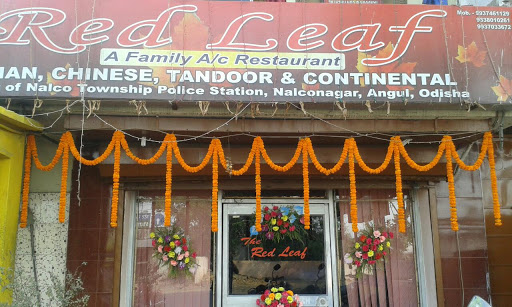 Red Leaf, National Highway 42, Nalco Township, Nalco Nagar, Near Vegtable Market, Angul, Odisha 759145, India, Restaurant, state OD