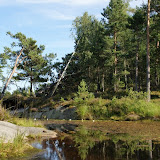 Nabij de golfbaan.