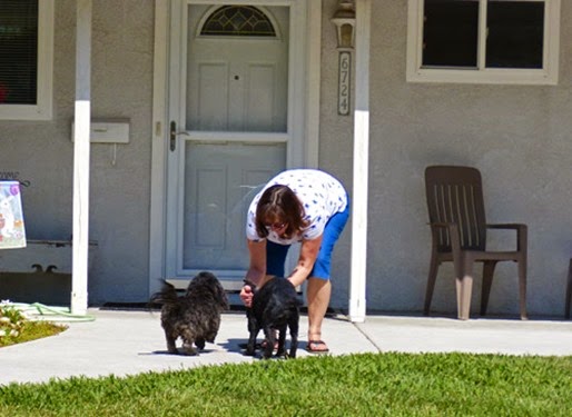 Sister Sandy with Bubba and Skruffy