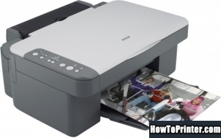 Reset Epson DX3800 printer use Epson resetter