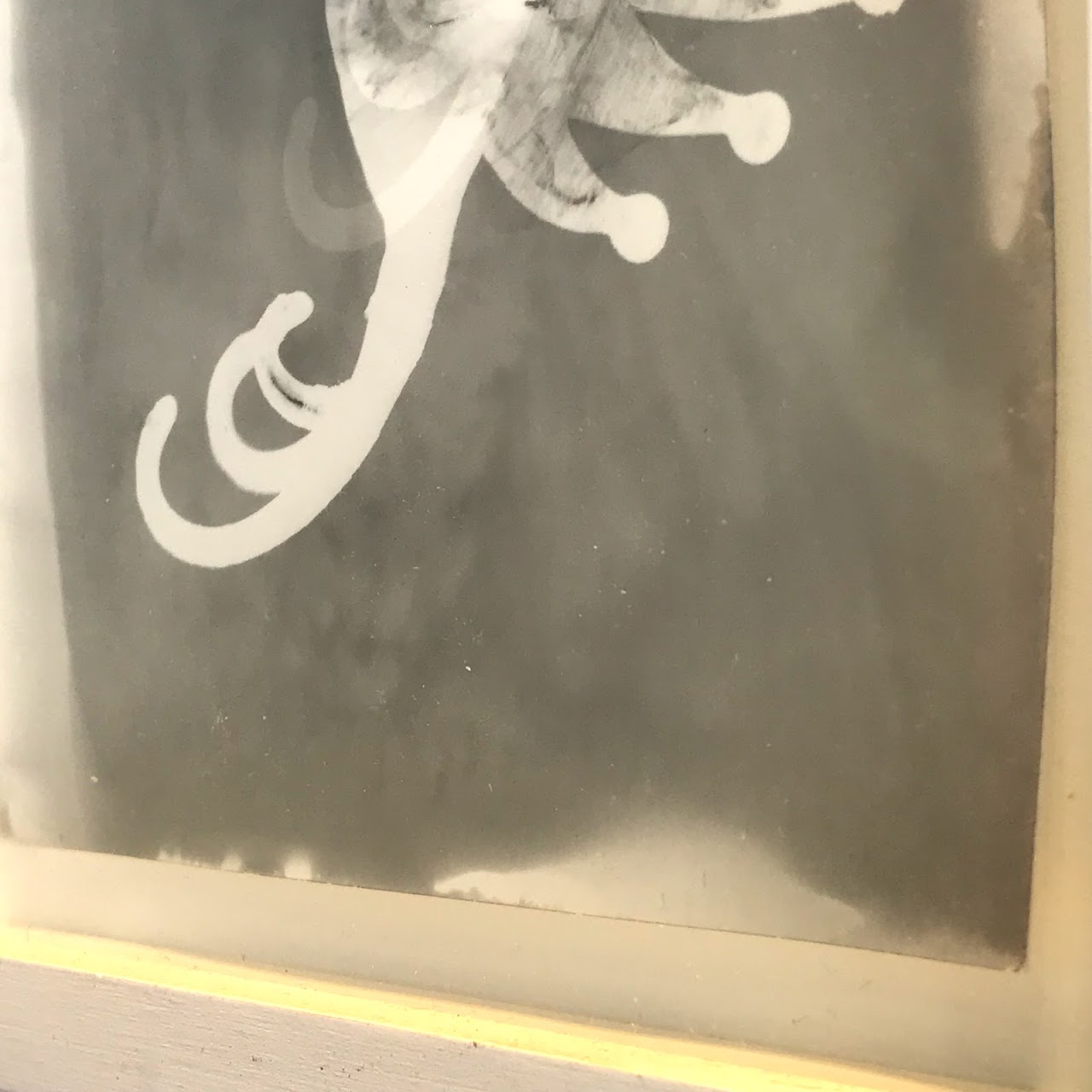 Wendy Small 'Hummingbird' Photogram