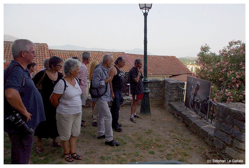 Corsica Photosub aux rencontres photographiques de Corte IMGP6731