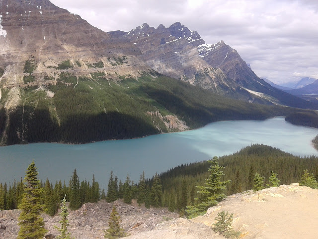 LAS ROCOSAS DE CANADA. YELLOWSTONE Y GRAND TETON. - Blogs de Canada - Icefields Parkway. Llegada a Jasper. 5 de Julio (12)