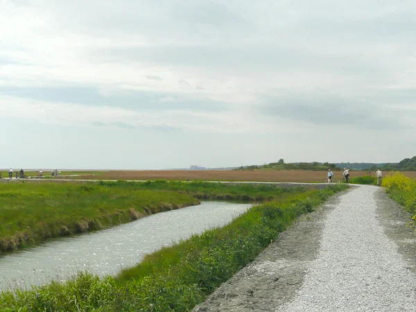 Another view of the new Stone surface