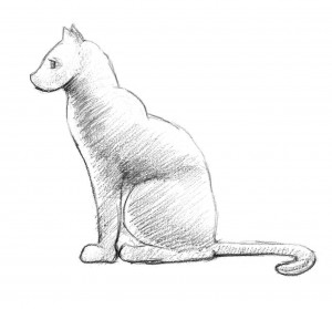 cat-300x279.jpg