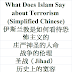 What Does Islam View Terrorism Chinese | 伊斯兰教是如何看待恐怖主义的