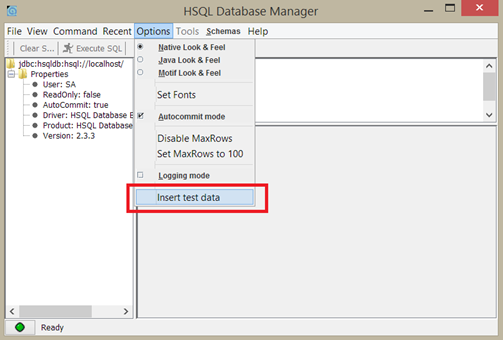 hsqldb insert data hsqldb insert data