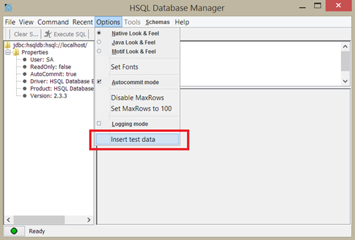 hsqldb insert data