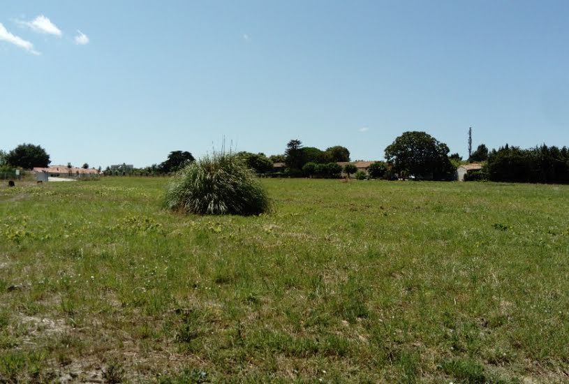  Vente Terrain à bâtir - 580m² à Tauriac (33710) 