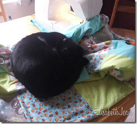 duncan (quilt cat) (1)