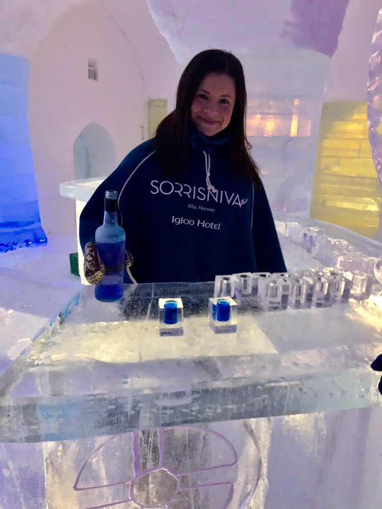 Enjoying the bar at the Sorrisnava Igloo Hotel Bar, where your glass is an ice cube (Source: Palmia Observatory)