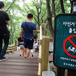 I wouldn't dare - N Seoul tower in Korea in Seoul, South Korea 