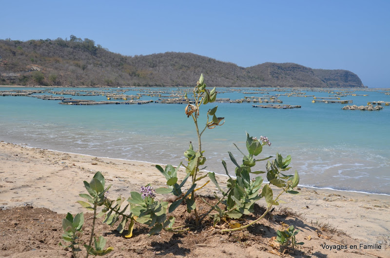 Bumbang Beach - Lombok