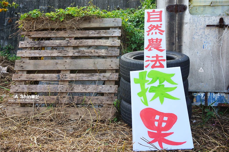 苗栗一日遊35