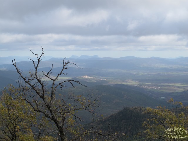 monte julio 033