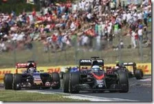 Fernando Alonso precede una Toro Rosso