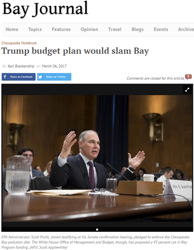 Screenshot of the front page of the Bay Journal, showing its 6 March 2017 story, 'Trump budget plan would slam Bay', describing how the Chesapeake Bay Program and other federal initiatives that could impact the Bay have been targeted for steep cuts in preliminary Trump administration budget plans. Graphic: Bay Journal