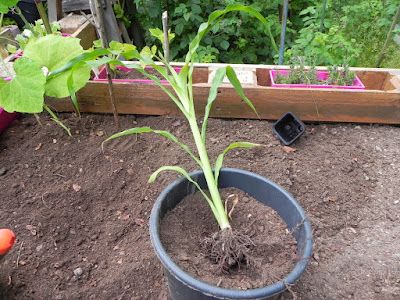 DSCN0390.JPG